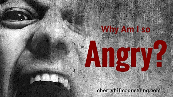 Read more about the article Why Am I So Angry?