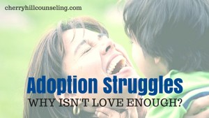 Read more about the article Adoption Struggles: Why Isn’t Love Enough?