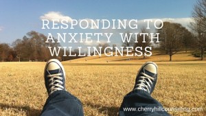 Read more about the article Responding to Anxiety With Willingness