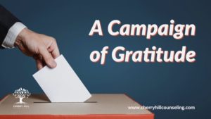 Read more about the article A Campaign of Gratitude