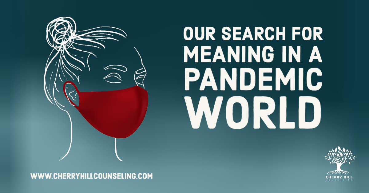 You are currently viewing Our Search for Meaning in a Pandemic World