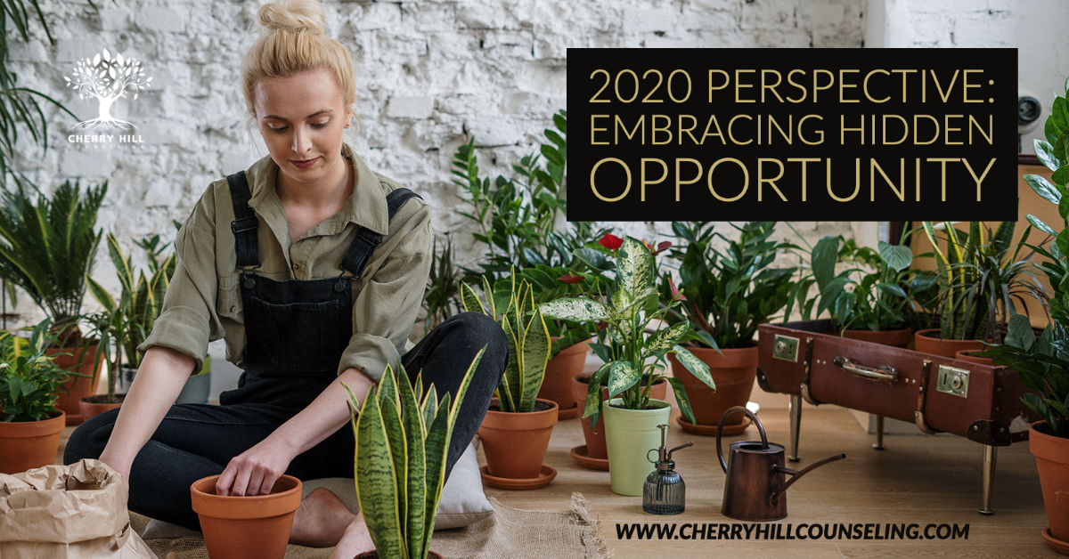 You are currently viewing 2020 Perspective: Embracing Hidden Opportunity