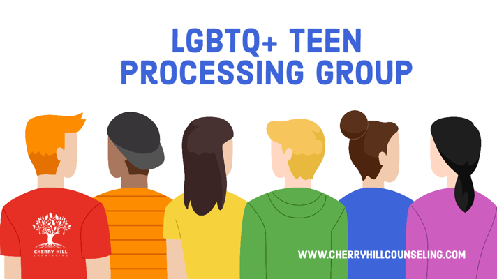 Read more about the article LGBTQ+ Teen Processing Group