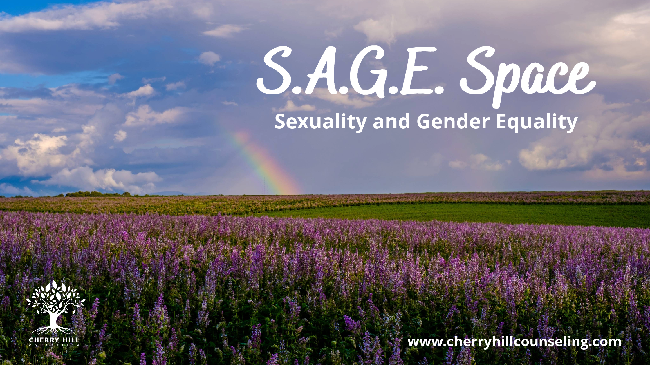 Read more about the article S.A.G.E. Space