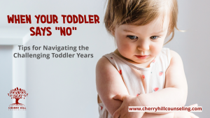 Read more about the article When Your Toddler Says “No”: Tips for Navigating the Challenging Toddler Years
