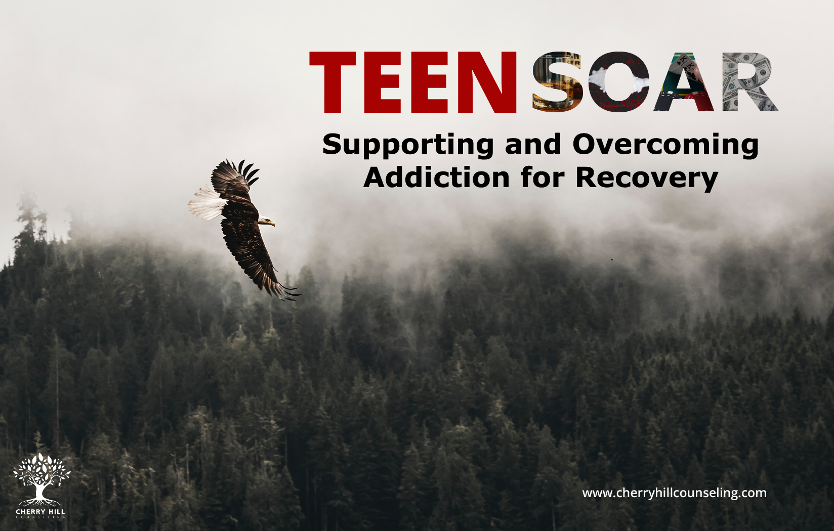 Read more about the article TEEN SOAR – Supporting and Overcoming Addiction for Recovery