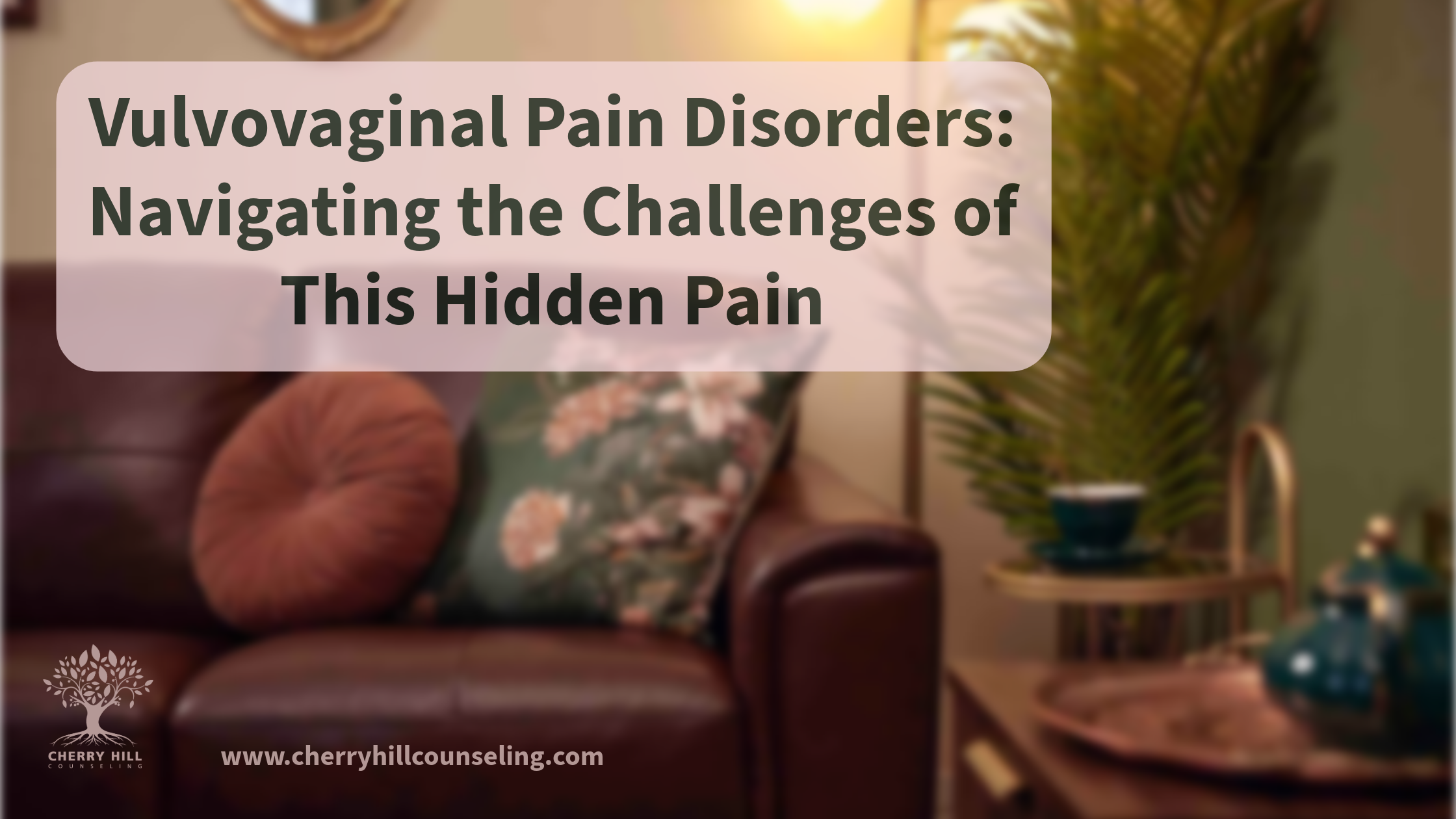 Read more about the article Vulvovaginal Pain Disorders: Navigating the Challenges of this Hidden Pain